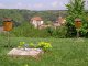 Photo de la commune de La Petite-Pierre