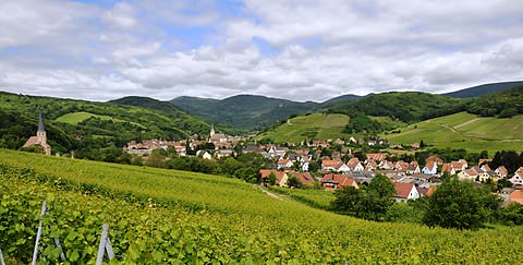 Photo de la commune de Andlau