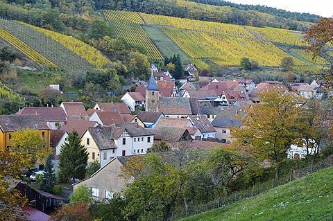 Photo de la commune de Bernardvillé