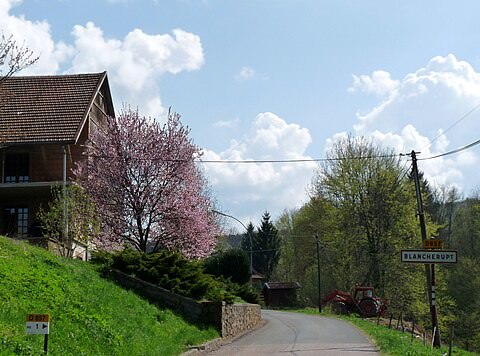 Photo de la commune de Blancherupt