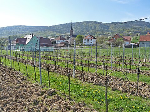 Photo de la commune de Cleebourg