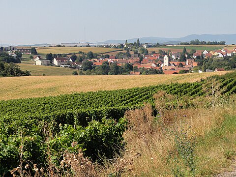 Photo de la commune de Kienheim