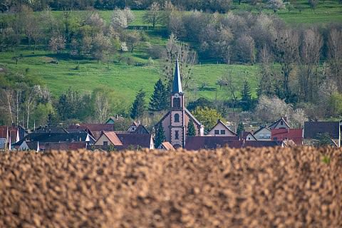 Photo de la commune de Niedermodern