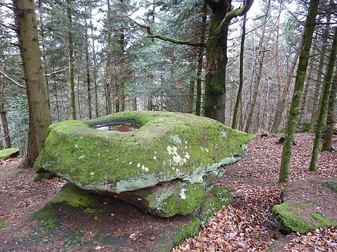 Photo de la commune de Reinhardsmunster