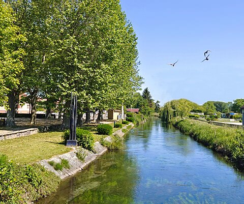 Photo de la commune de Rhinau