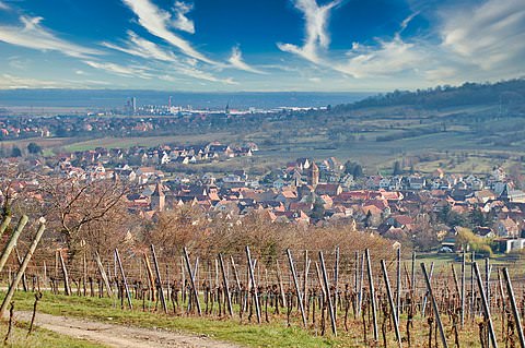 Photo de la commune de Rosheim