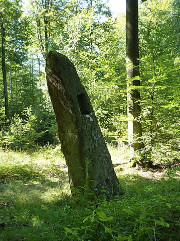 Photo de la commune de Rosteig