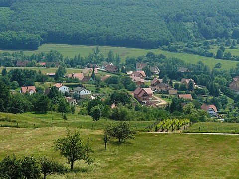 Photo de la commune de Saint-Pierre-Bois