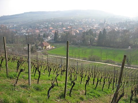 Photo de la commune de Soultz-les-Bains