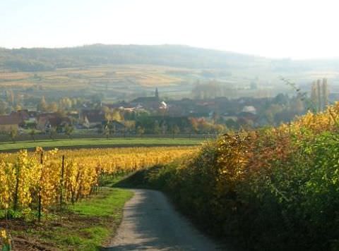 Photo de la commune de Bergbieten