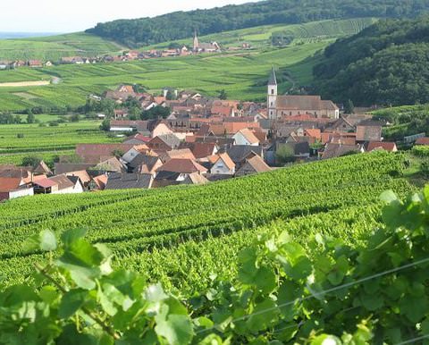 Photo de la commune de Nothalten
